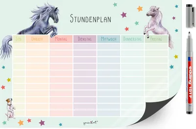 Produktbild von younikat Stundenplan magnetisch abwischbar I Pferd und Pony I inkl. Stift I wiederbeschreibbar I Einschulung I dv_977
