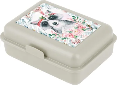 Image de BAAGL Boîte à goûter Raton laveur