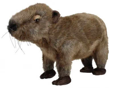 Obrázok produktu pre Maskotka ZOO Kapibara 30cm