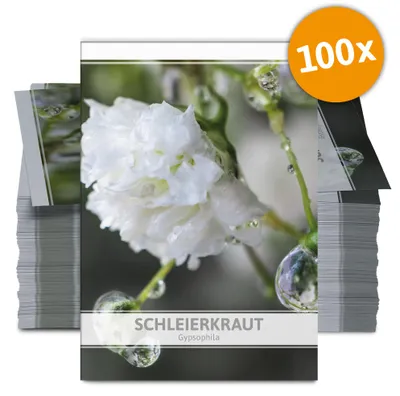 Produktbild von Schleierkraut für Werbezwecke (100 Tütchen) | Schleierkrautsamen von FLORTUS