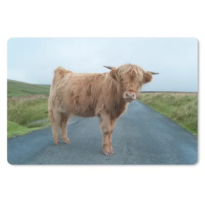 Produktbild von MuchoWow® Schreibtischunterlage Scottish Highlander - Straße - Gras 60x40 cm - XXL Mauspad - Großes Mauspad