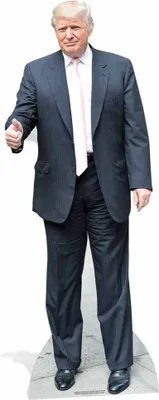 Produktbild von Trump, Donald Pappaufsteller Pink Tie