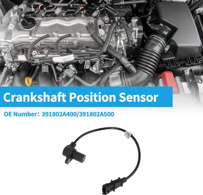 Image de 1 Capteur De Position Du Vilebrequin Pour Hyundai I20 Hatchback 1.1Crdi 12-15 En MšŠtal Robuste En Plastique Noir Capteur De Vilebrequin Du Moteur Ckp