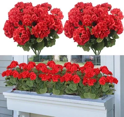 Immagine prodotto di Set di gerani artificiali, 2 pezzi, resistenti ai raggi UV, 37 cm