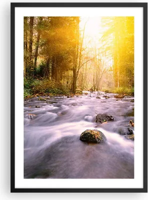 Produktbild von Gerahmtes Poster - Schwarzer Rahmen - Herbst Wald Berg Fluss - 50x70 cm - Wand Bild - Wanddeko - Wandbilder - Kunstposter - Wandposter - Bilderrahmen - Bilder - Kunstdruck - Wandbild - P2BPA50x70-0504