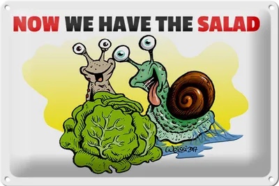Produktbild von Blechschild Spruch 30x20cm Now we have the salad Schnecken