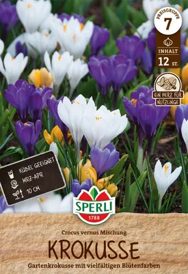 Produktbild von Krokus Mischung (12 Stück) | Krokuszwiebeln von Sperli