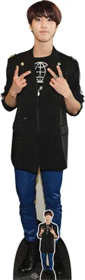 Immagine prodotto di Han - Espositore in cartone K-Pop - 51 x 170 cm