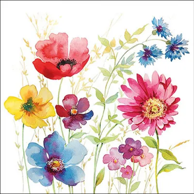 Image de Serviettes de table Lunch - Serviettes de table Lunch - Format : 33 x 33 cm - 3 plis - 20