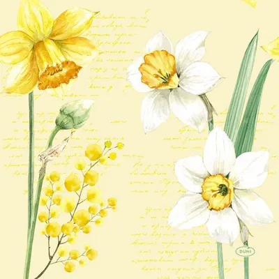 Produktbild von 240 Duni Tissue-Servietten 33 x 33 cm Spring Daffodil 3-lagig