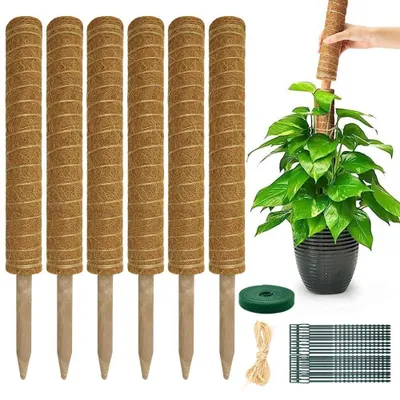 Productafbeelding van Monstera Plantenklimhulp, uitbreidbare plantenhulp voor Monstera, 6 stuks