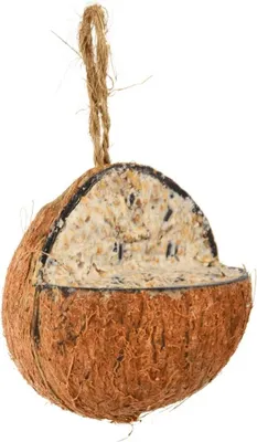 Zdjęcie produktu dla Nadziewany kokos