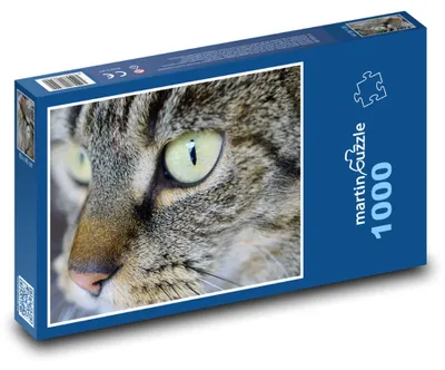 Obrázek produktu pro Puzzle 1000 Krásná šedá kočka zblízka - martinpuzzle