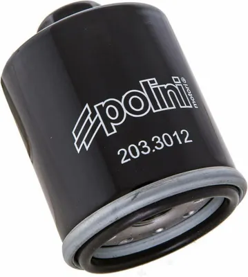 Image de Filtre à huile Polini pour maxi scooter 4 temps Piaggio moteur