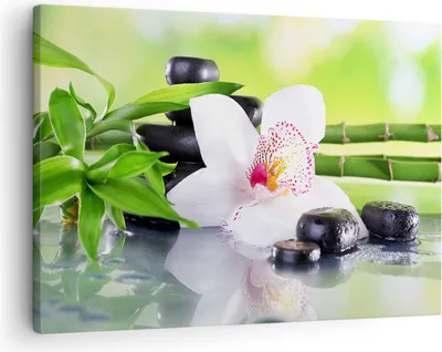 Produktbild von Bild auf Leinwand - Leinwandbild - blume orchidee - 70x50cm - Wand Bild - Wanddeko - Wandbilder - Leinwanddruck - Bilder - Kunstdruck - Wanddekoration - Leinwand bilder - Wandkunst - AA70x50-3659