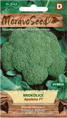 Image de Brocoli APOLENA F1 - hybride 60396