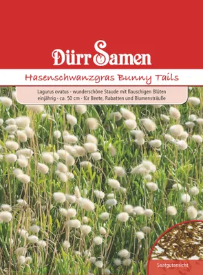 Artikelbild 1 von 'Hasenschwanzgras Bunny Tails' aus der Kategorie Gräsersamen