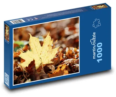 Produktbild von Puzzle 1000 Herbstliches Ahornblatt im Wald - martinpuzzle