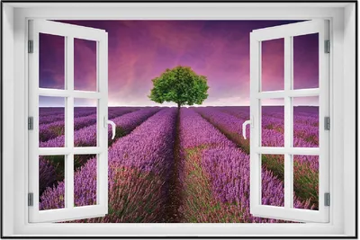 Produktbild von Wallario Wandbild mit Fenster-Illusion: Lila Blumenfeld, Größe: 61 x 91,5 cm, Poster mit schwarzem Aluminiumrahmen
