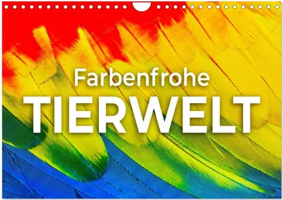 Produktbild von Farbenfrohe Tierwelt (Wandkalender 2025 DIN A4 quer), CALVENDO Monatskalender