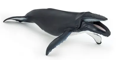 Produktbild von Papo Buckelwal, 3 Jahr(e), Marine life, Schwarz, Weiß, PVC