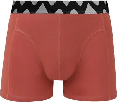 Produktbild von Vuch Herren-Boxershorts Nizan rot M