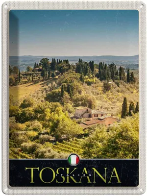 Produktbild von vianmo Blechschild 40x30 cm Toskana Italien Natur Weinfelder Bildmotiv Reisemotiv Abenteuer Reisen Europa Urlaub