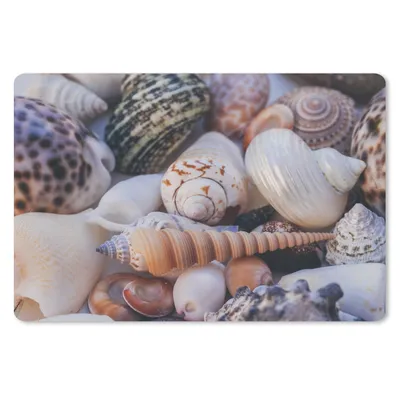 Produktbild von MuchoWow® Schreibtischunterlage Muscheln - Strand - Nahaufnahme 60x40 cm - XXL Mauspad - Großes Mauspad