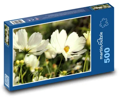 Produktbild von Puzzle 500 Kosmea - Blume im Garten - martinpuzzle