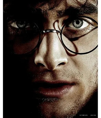 Imagen del producto de Harry Potter: Harry contra Voldemort. Efecto 3D. 20,3 x 25,4 cm. Póster