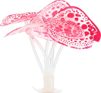 Image de Silicone Brillant Aquarium Simulation Corail avec Suceur, Rose