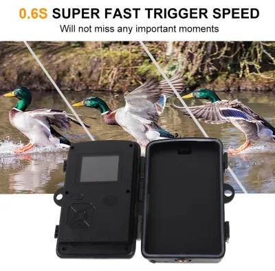 Image de Caméra de chasse 1080p, écran LCD 2 pouces, 16 MP, vision nocturne infrarouge, surveillance mobile, étanche IP66, pour sentiers