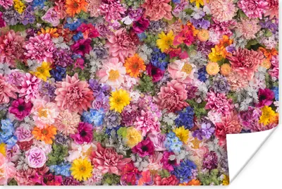 Produktbild von MuchoWow® Poster Blumen - Farben - Collage 120x80 cm - Bilder