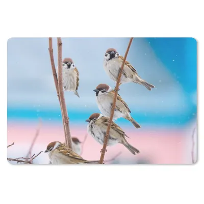Produktbild von MuchoWow® Mauspad Mousepad Vögel - Spatz - Tiere - Äste 27x18 cm - Mousepads - Maus Mat - Pad - Mausunterlage - Büroartikel - Desk Matten