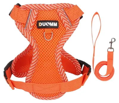 Produktbild von Verstellbares Hunde-Geschirr-Set aus atmungsaktivem Mesh mit Leine (4 Größen) Orange M