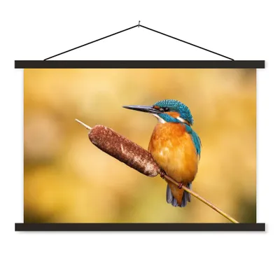Produktbild von MuchoWow® Textilposter Eisvogel - Natur - Vogel 150x100 cm mit schwarzem Rahmen - Schlafzimmer