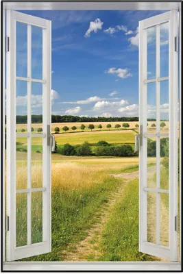 Produktbild von Wallario Wandbild mit Fenster-Illusion: Feldlandschaft unter blauem Himmel, Größe: 61 x 91,5 cm, Poster mit schwarzem Aluminiumrahmen
