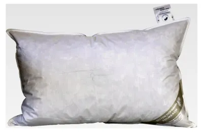 Produktbild von Daunenkissen 50x75 cm, 330 g Daunen, 100% Daunen, weich und flauschig, Naturprodukt, waschbar