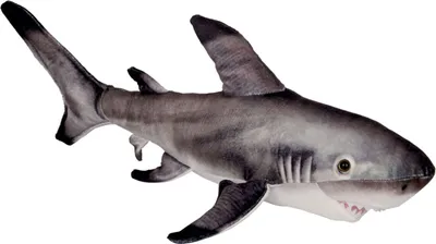 A plush toy shark against a white background.