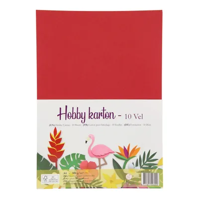 Produktbild von Fotokarton für Hobby und Basteln A4 300 g/m² 10 Blatt verschiedene Farben