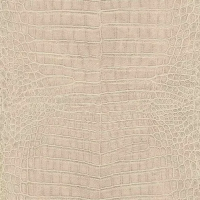 Produktbild von Vliestapete 751345 Tapete Tiere 53 x 1005 cm Rasch African Queen III Beige