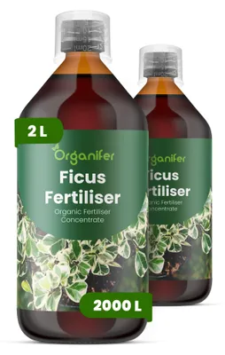 Obrázok produktu pre Ficus – Tekuté hnojivo 2x1 L – 2-1-8 NPK – Pre izbové rastliny – Pre zdravé listy a silný rast – Podporuje korene a vitalitu – Organický produkt