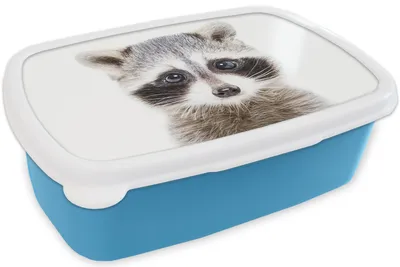 Obrázek produktu pro KitchenYeah® Lunchbox Lunchbox 17x11 cm Mýval - Zvířata - Příroda - Bílý dětský box na svačinu - Oběd - Plastový - Chlebová plechovka - Box na sendvič - Box na oběd pro děti