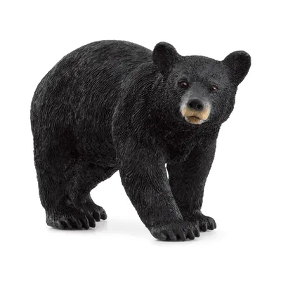 Produktbild von Schleich Wild Life         14869 Amerikanischer Schwarzbär
