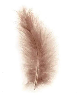 Produktbild von Glorex Marabufedern natur ca. 15 Stück