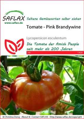 Productafbeelding van SAFLAX - Tomaat - Pink Brandywine - 10 zaden - Lycopersicon esculentum