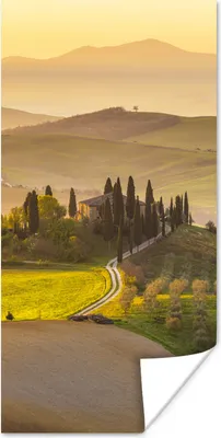 Produktbild von MuchoWow® Poster Italien - Weinberg - Olivengarten 60x120 cm - Wandschmuck