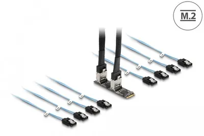 Immagine prodotto di Delock Konverter M.2 2280 Key B+M Stecker zu 8 x SATA (64211)