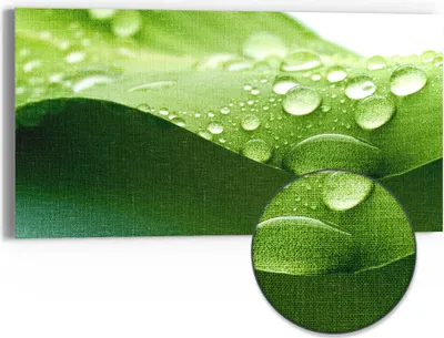 Produktbild von DEQORI Hybrid Leinwand Bild 60x30 cm 'Tropfenfrische' Wandbild Glas flach modern