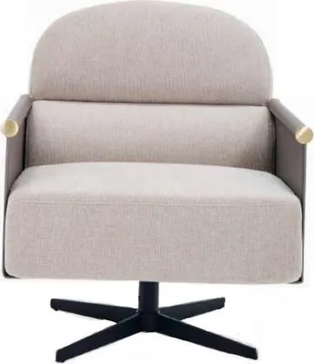Image de Fauteuil élégant ounge Club Chaise pivotante Chaise design Salon